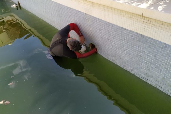 reparación de fuga