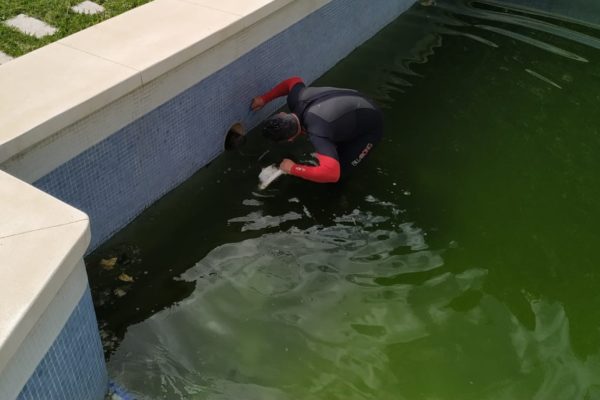 trabajo reparación fuga